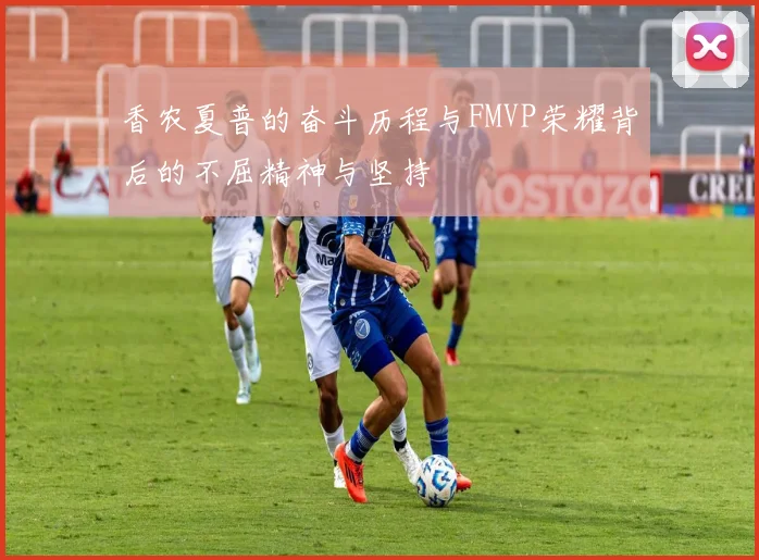 香农夏普的奋斗历程与FMVP荣耀背后的不屈精神与坚持