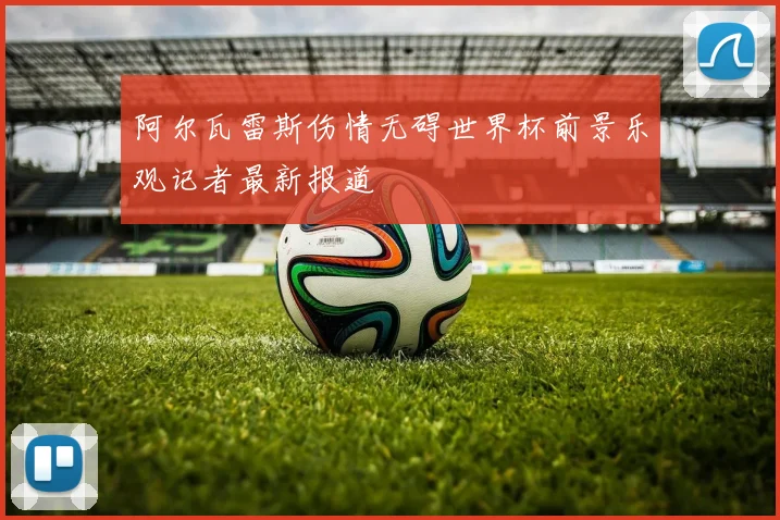 阿尔瓦雷斯伤情无碍世界杯前景乐观记者最新报道
